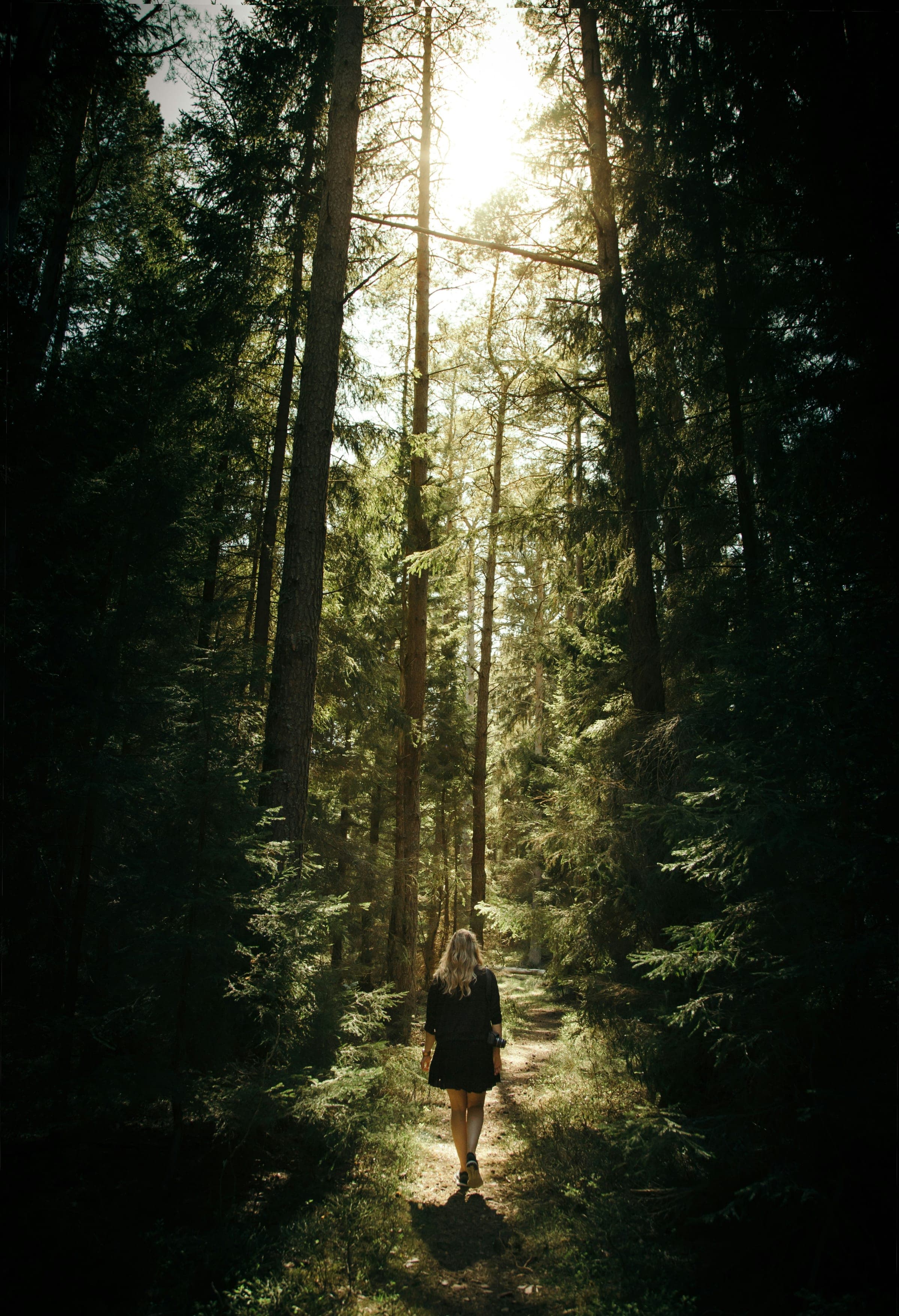 A woman walking through a sunlit forest